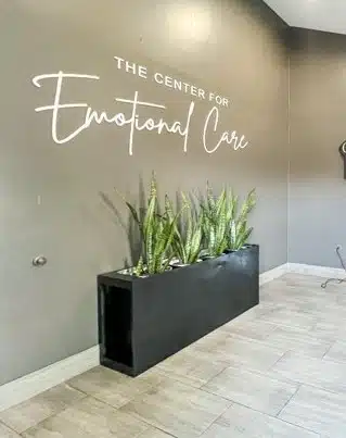 Center for Emotional Care