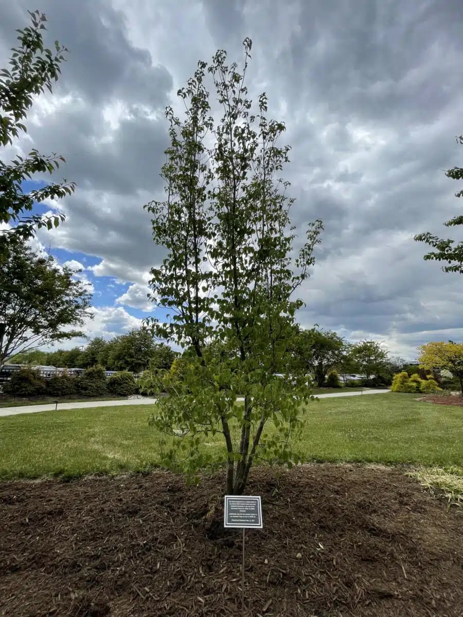 Rockingham Memorial Hospital - Thumbnail 4