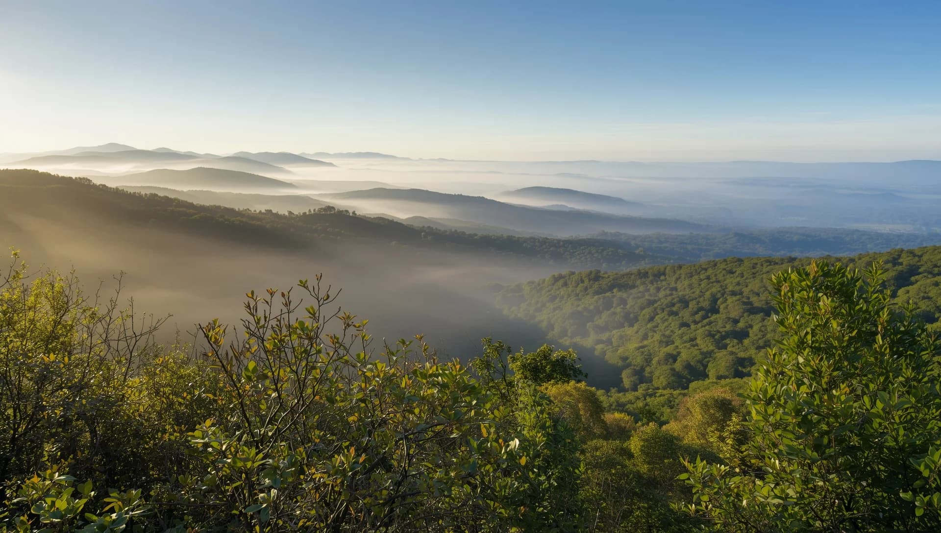 Winchester, Virginia - treatment centers